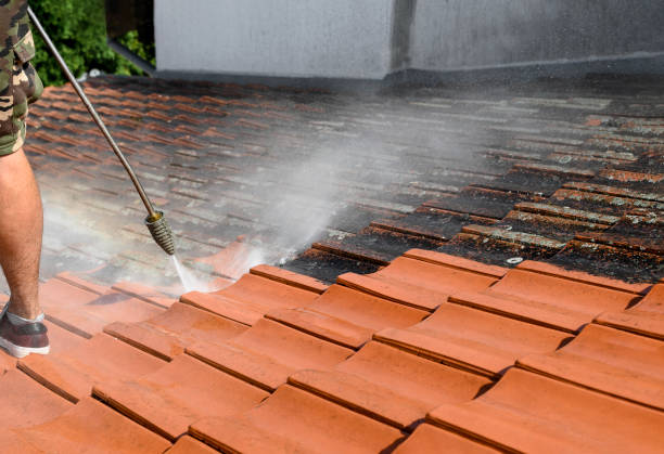 Best Deck Cleaning Services  in Pevely, MO