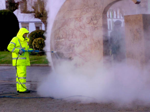 Best Roof Power Washing Services  in Pevely, MO